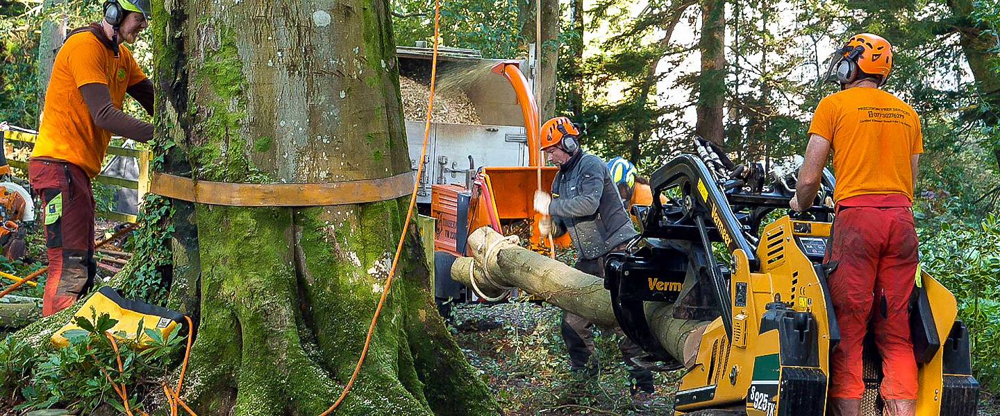 Experts in management of large trees