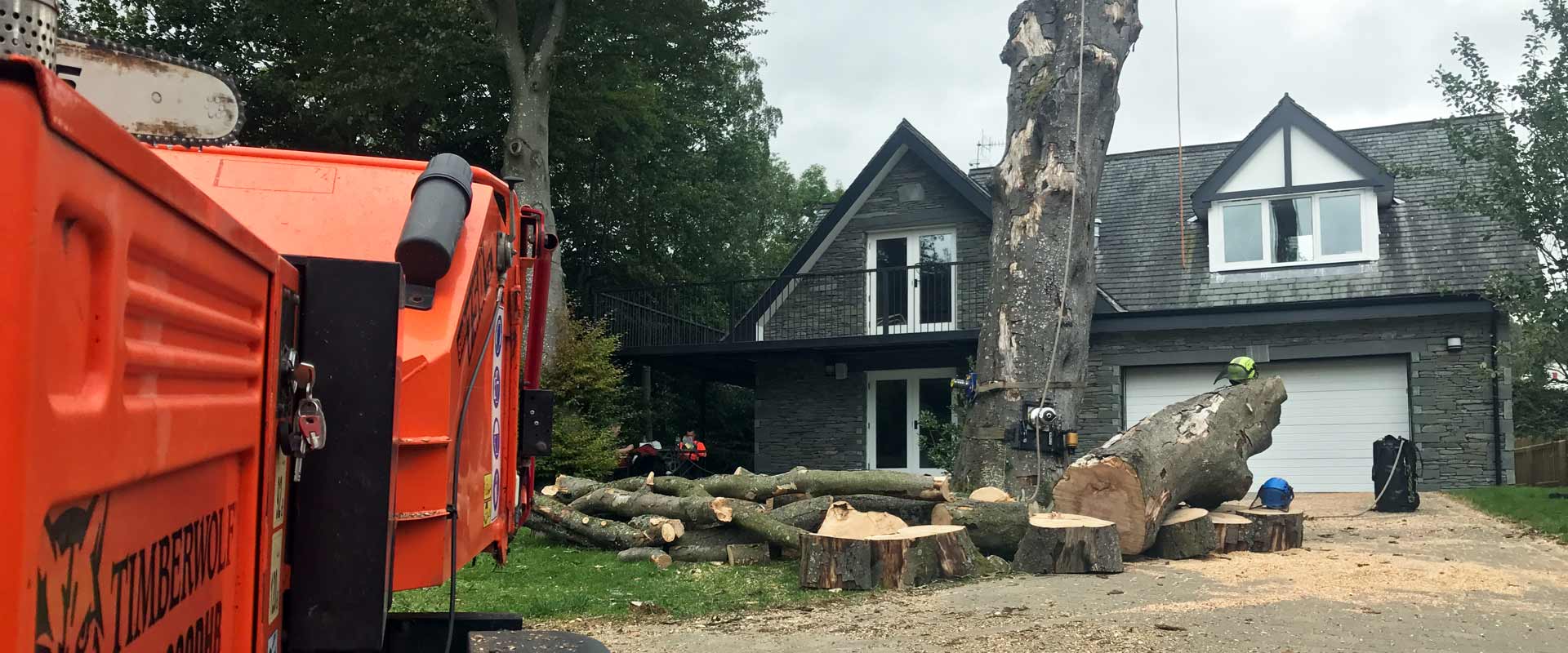 Dead tree removal, Keswick Projects Precision Tree Services